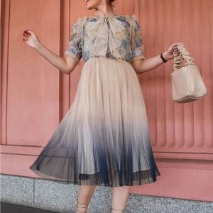 Brand new Chicwish dress. WE KNOW IT ALL GRADIENT PLEATED MESH TULLE DRESS.